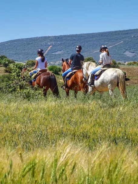 Experiencia ecoturismo a Caballo por Cabañeros