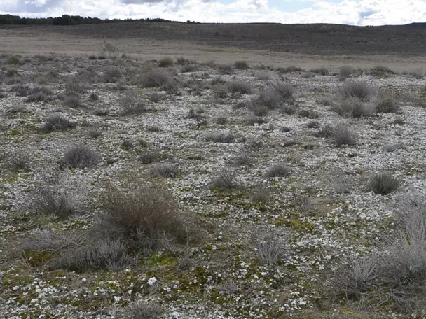 Naturaleza de Castilla-La Mancha
