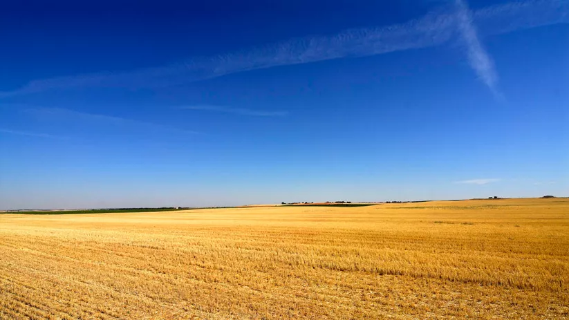 Campo en los alrededores de San Clemente