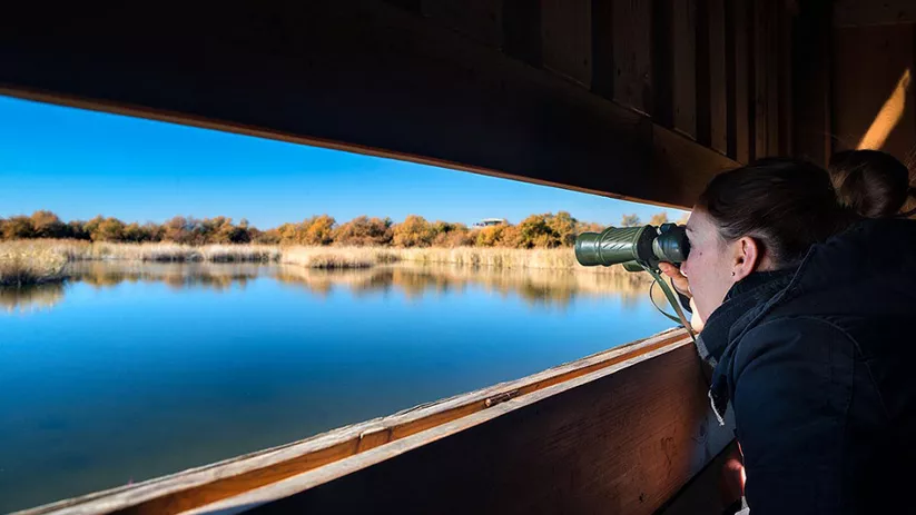 Imagen de una persona con unos prismáticos mirando una laguna
