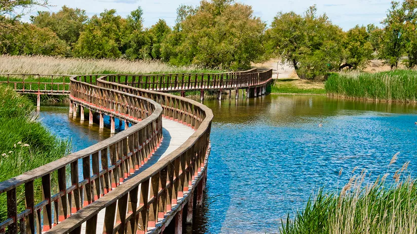 Imagen de un puente de madera soleado