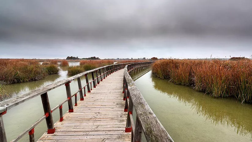 Imagen de un puente de madera