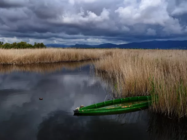 Imagen del humedal con una canoa verde