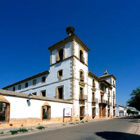 Casa de las Torres de Tembleque
