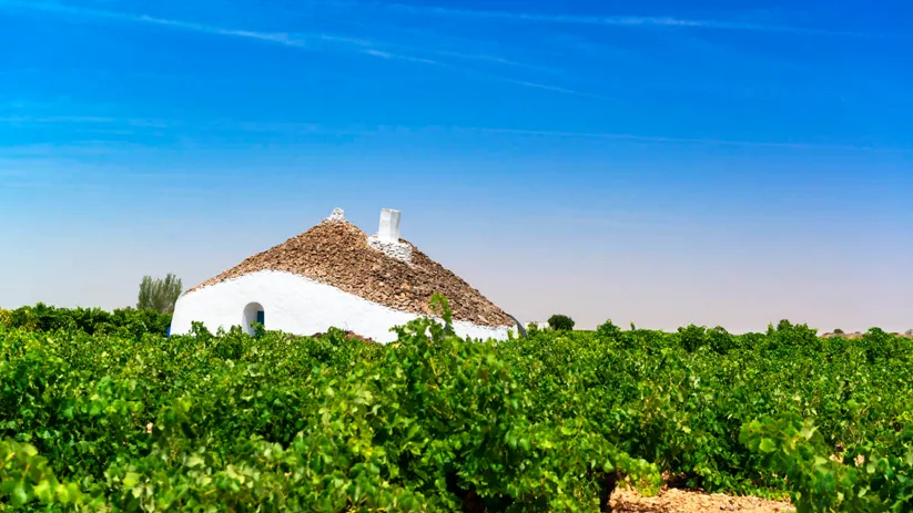 Bombo en medio de un viñedo de Tomelloso