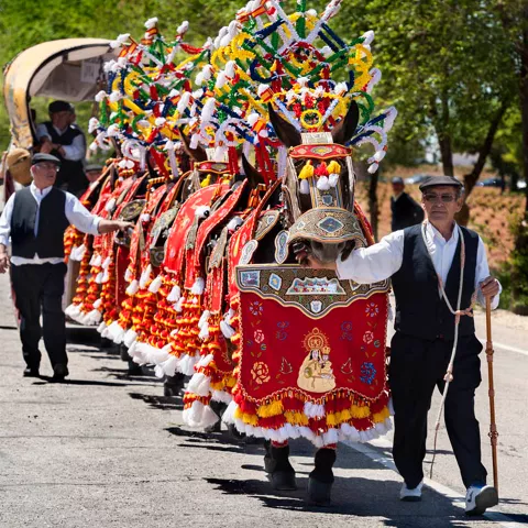 Romería de la Virgen de las Viñas en Tomelloso