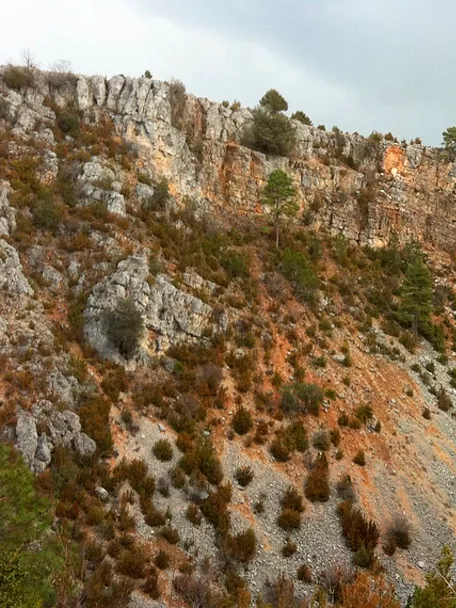 Torcas de Lagunaseca