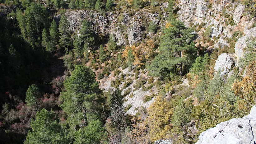 Torca del Tío Pepe en Lagunaseca, Cuenca
