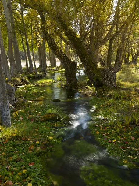 Imagen del Río Júcar cerca de su nacimiento