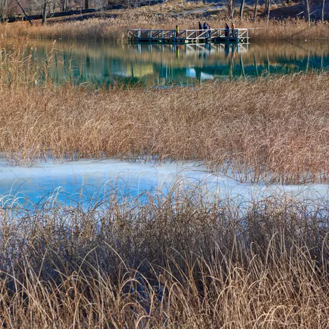 Visitantes en la Laguna de Uña