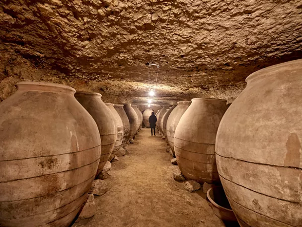 Imagen del museo de bodega