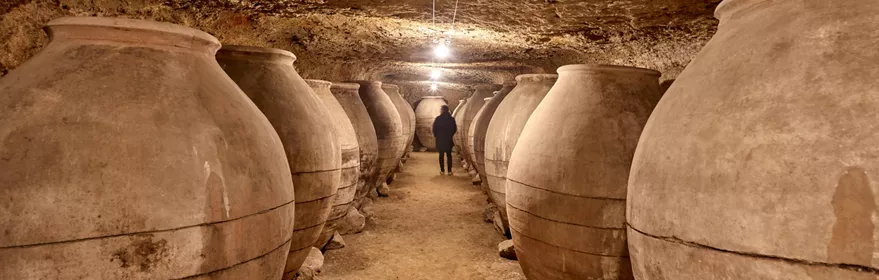 Imagen del museo de bodega