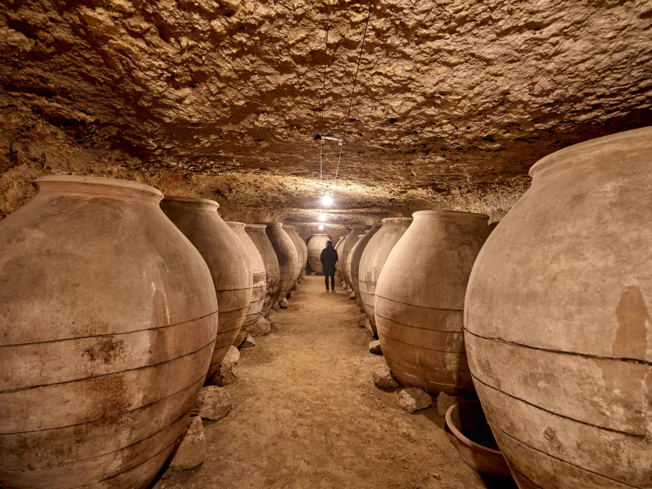 Imagen del museo de bodega