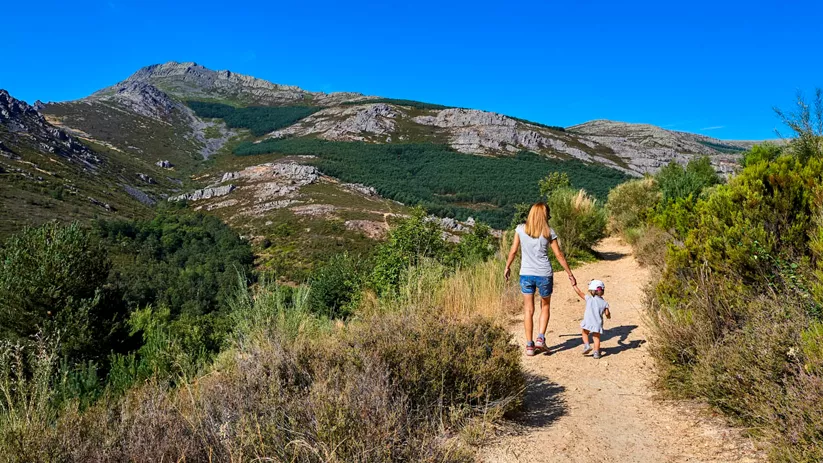 Camino de subida al Ocejón desde Valverde de los Arroyos