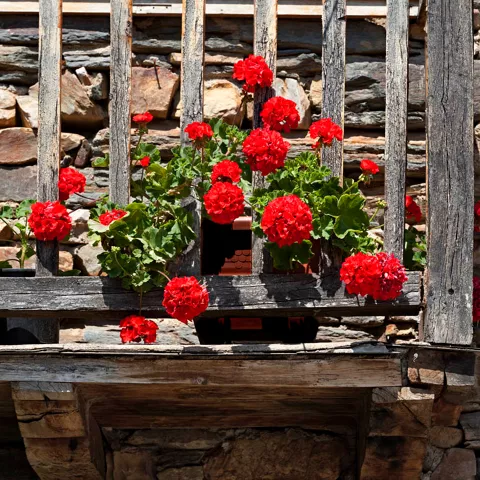 Detalle de un balcón en Valverde de los Arroyos