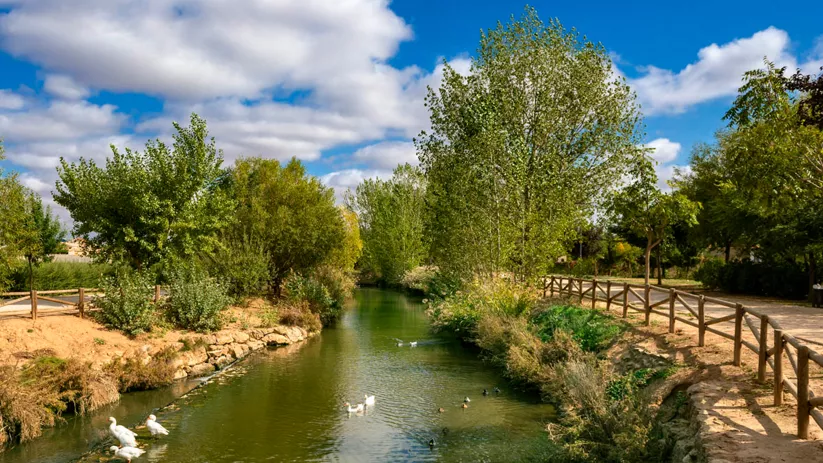 Paseo en Villanueva de la Jara