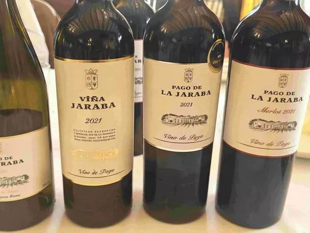 Varias botellas de vino alineadas sobre una mesa, con etiquetas visibles.