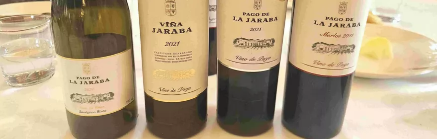 Varias botellas de vino alineadas sobre una mesa, con etiquetas visibles.
