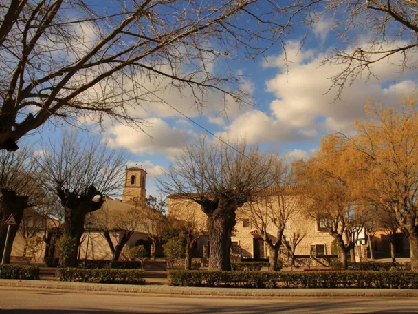 Plaza de Minaya con árboles centenarios, edificios tradicionales y la torre de la iglesia al fondo.