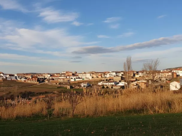Vista panorámica de Villapalacios desde las afueras, con el casco urbano extendido entre campos y suaves colinas.