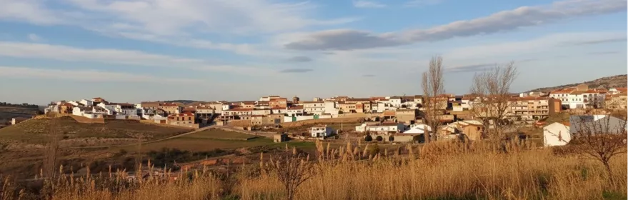 Vista panorámica de Villapalacios desde las afueras, con el casco urbano extendido entre campos y suaves colinas.