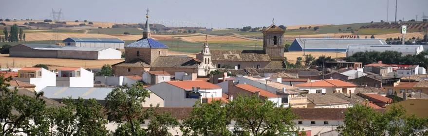 Vista panorámica de un pueblo con tejados y campos alrededor.
