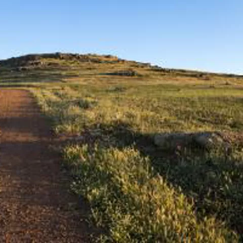 Imagen de camino de tierra en monte