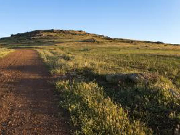 Imagen de camino de tierra en monte