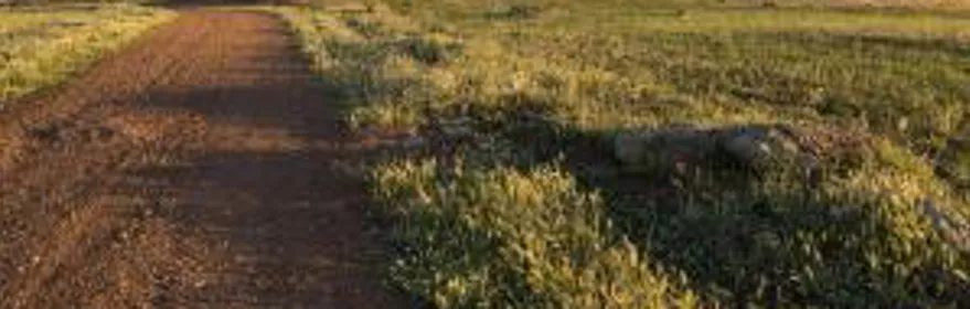 Imagen de camino de tierra en monte