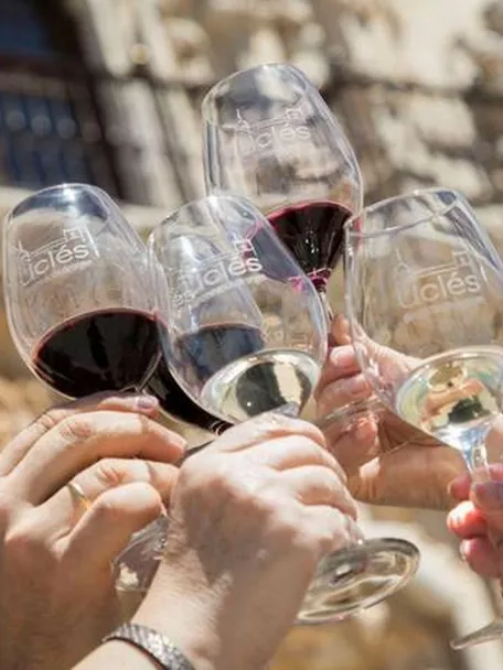 Brindis con vinos de la Denominación de Origen Uclés