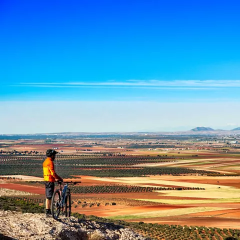 Cultura y Patrimonio de Castilla-La Mancha