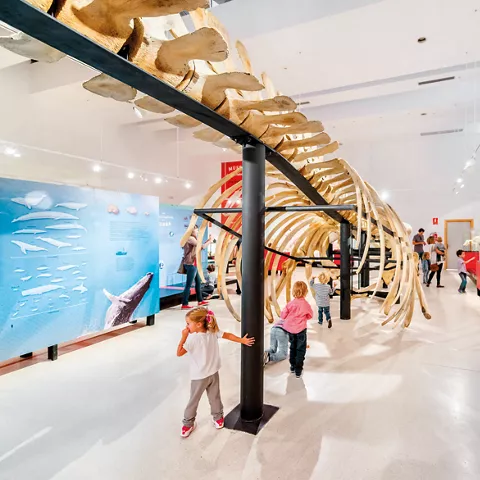 Visita al Museo de ciencias naturales los Yébenes