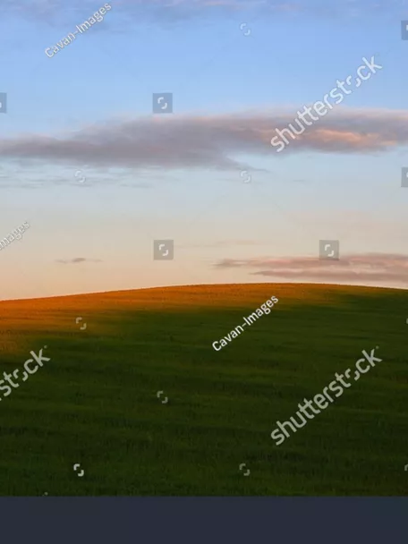 Cultivo de cereales de trigo o cebada en Yunquera de Henares, Guadalaj