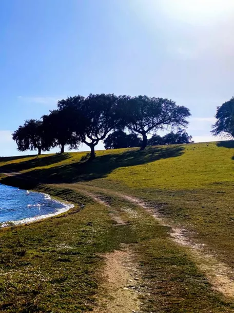 Sendero de tierra junto a la orilla