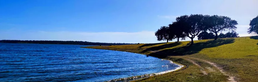 Sendero de tierra junto a la orilla