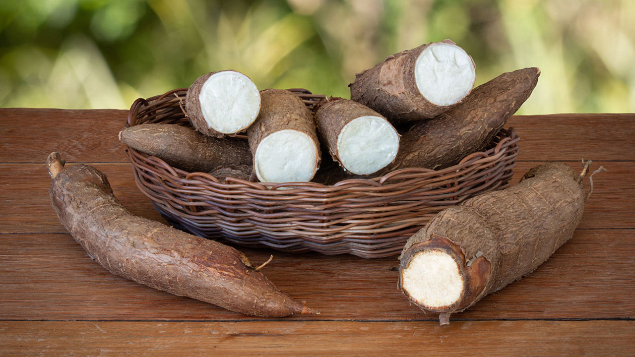 Pictures Of Cassava