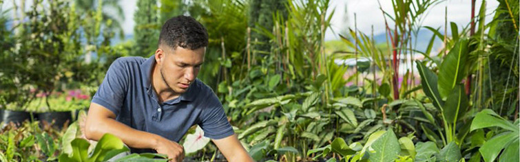 Young man tending to plants