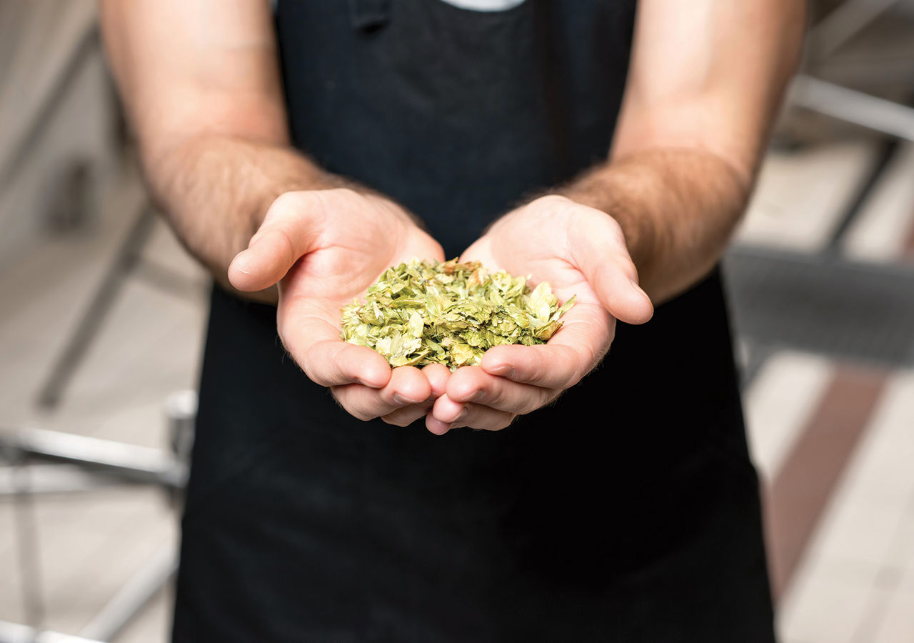 Sustainable Brewing Clean Label Brewing Kerry