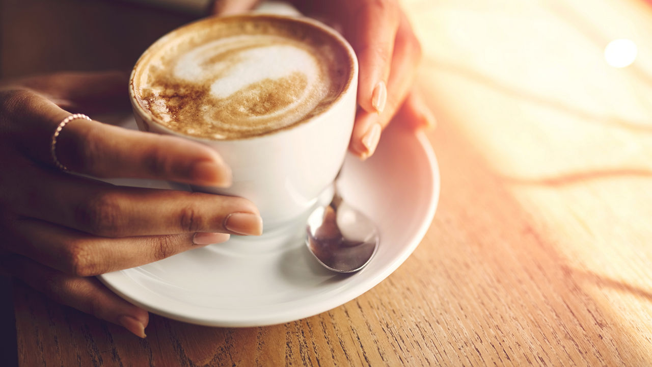 Sunflower Lecithin Alternative Puremul Kerry