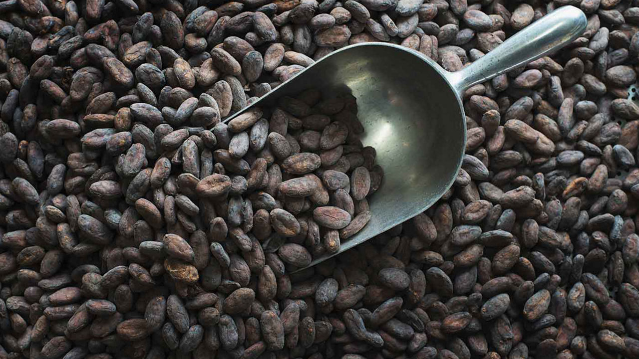 Coffee beans with metal scoop