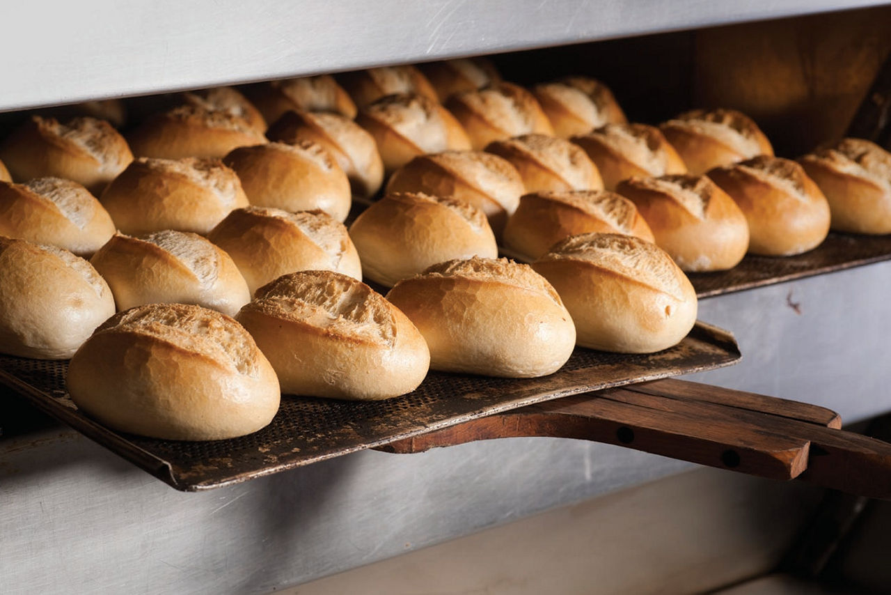 specialityenzymesproducts-function-biobake-leadvisual