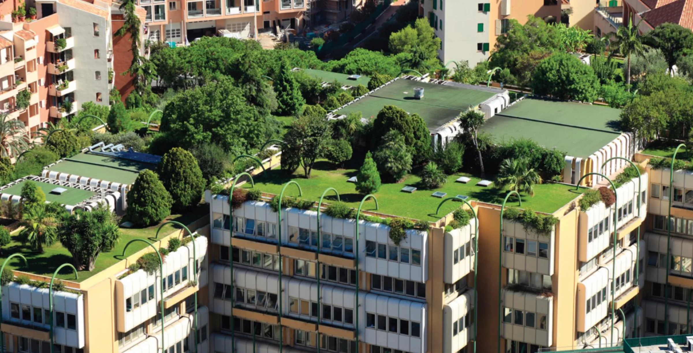 COPY_Green Roof-Urbanscape (3)