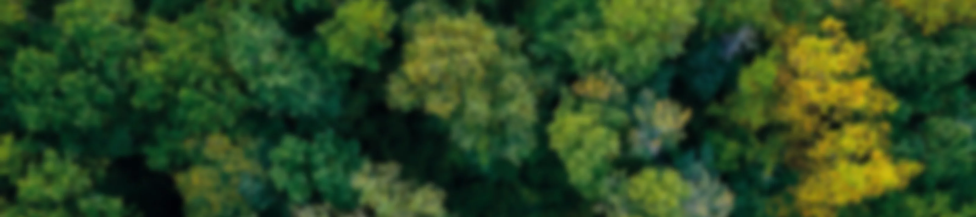 sustainability-at-knauf