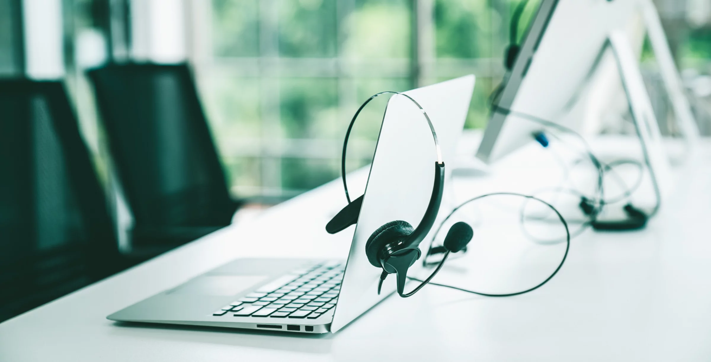 Taha Name Meaning visual data 5