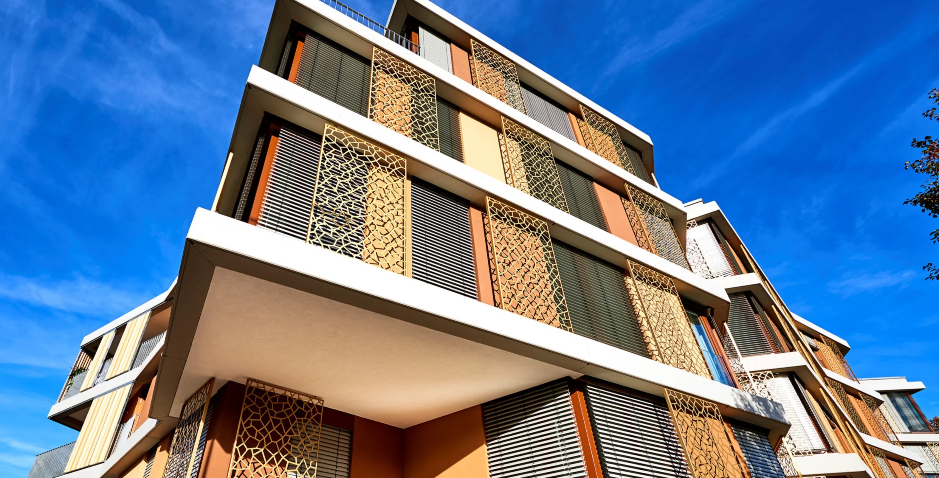 Progetti sociali | Fondazione Libellula, image size:3150x1604