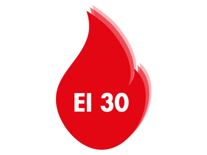 Logo EI 30