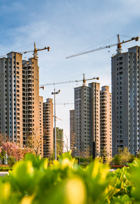 1:451x656%2811-16%29