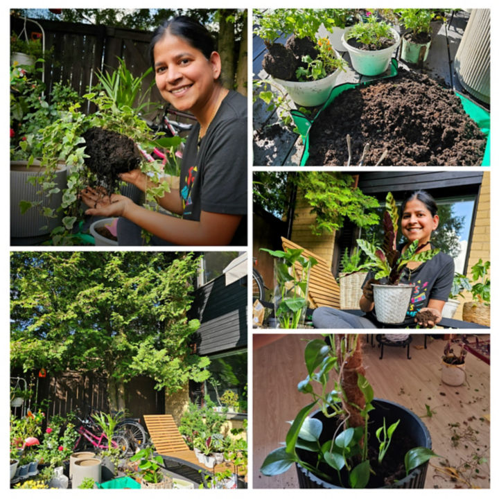 20240103_140235-COLLAGE:720x720%281-1%29