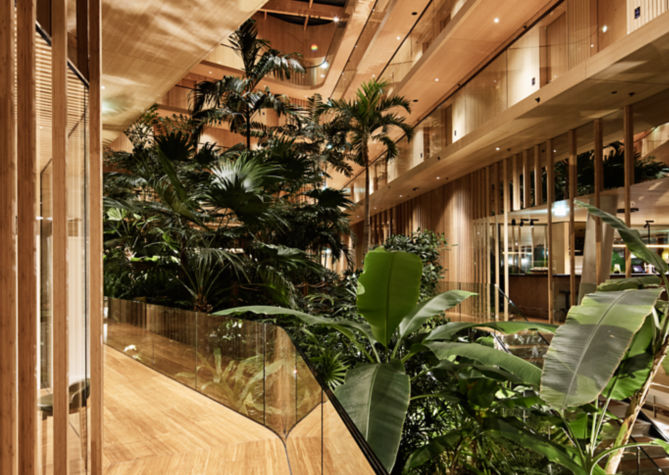 210117_Kone-1293:669x475