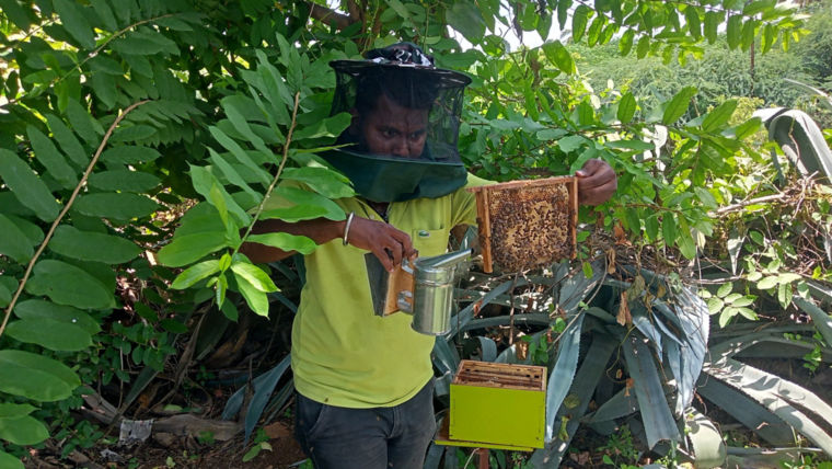 Sustainable Change Rooted in Rural Communities - KONE India